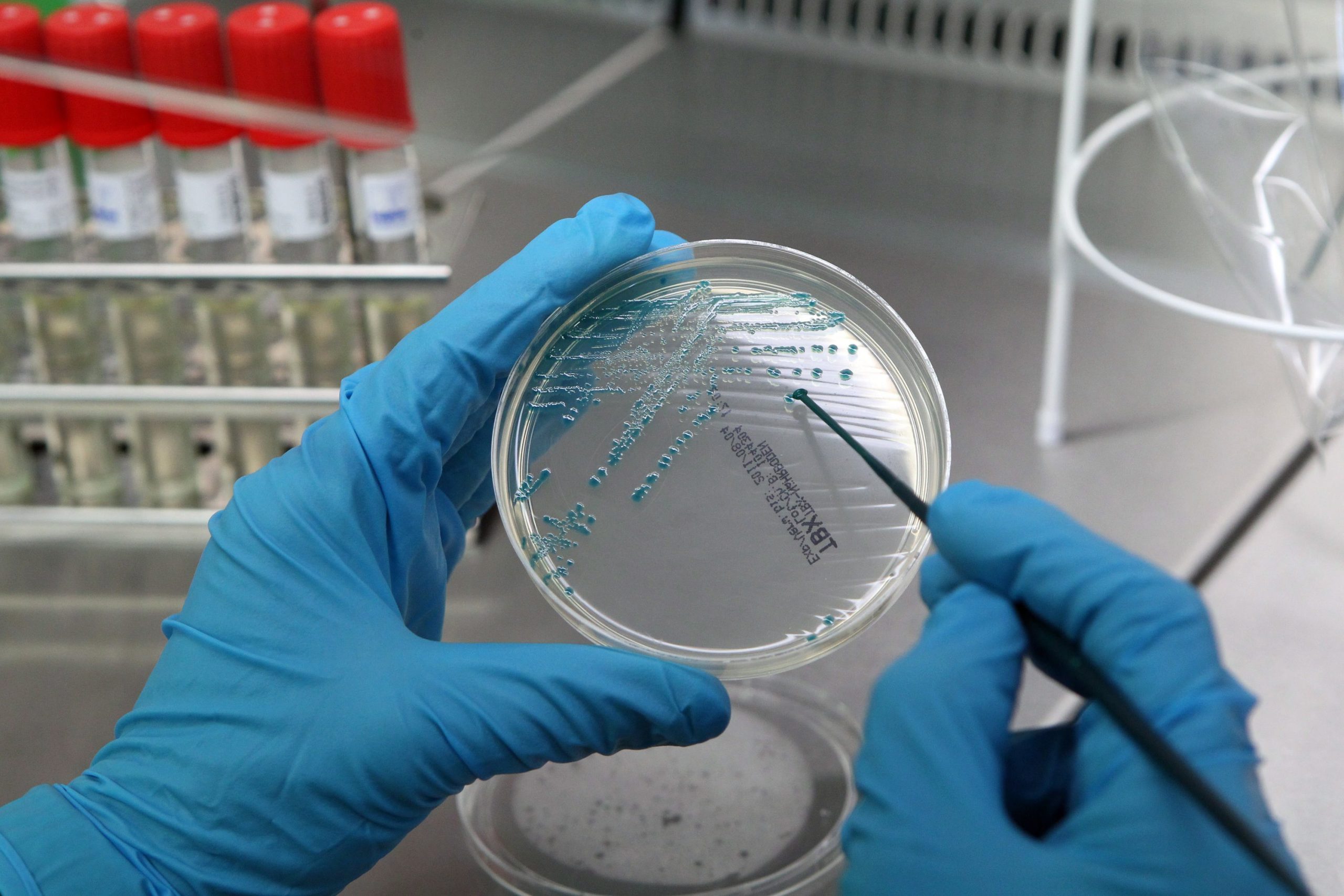 Investigador espanhol apresenta projeto de vacina para reduzir antibióticos na cadeia alimentar
