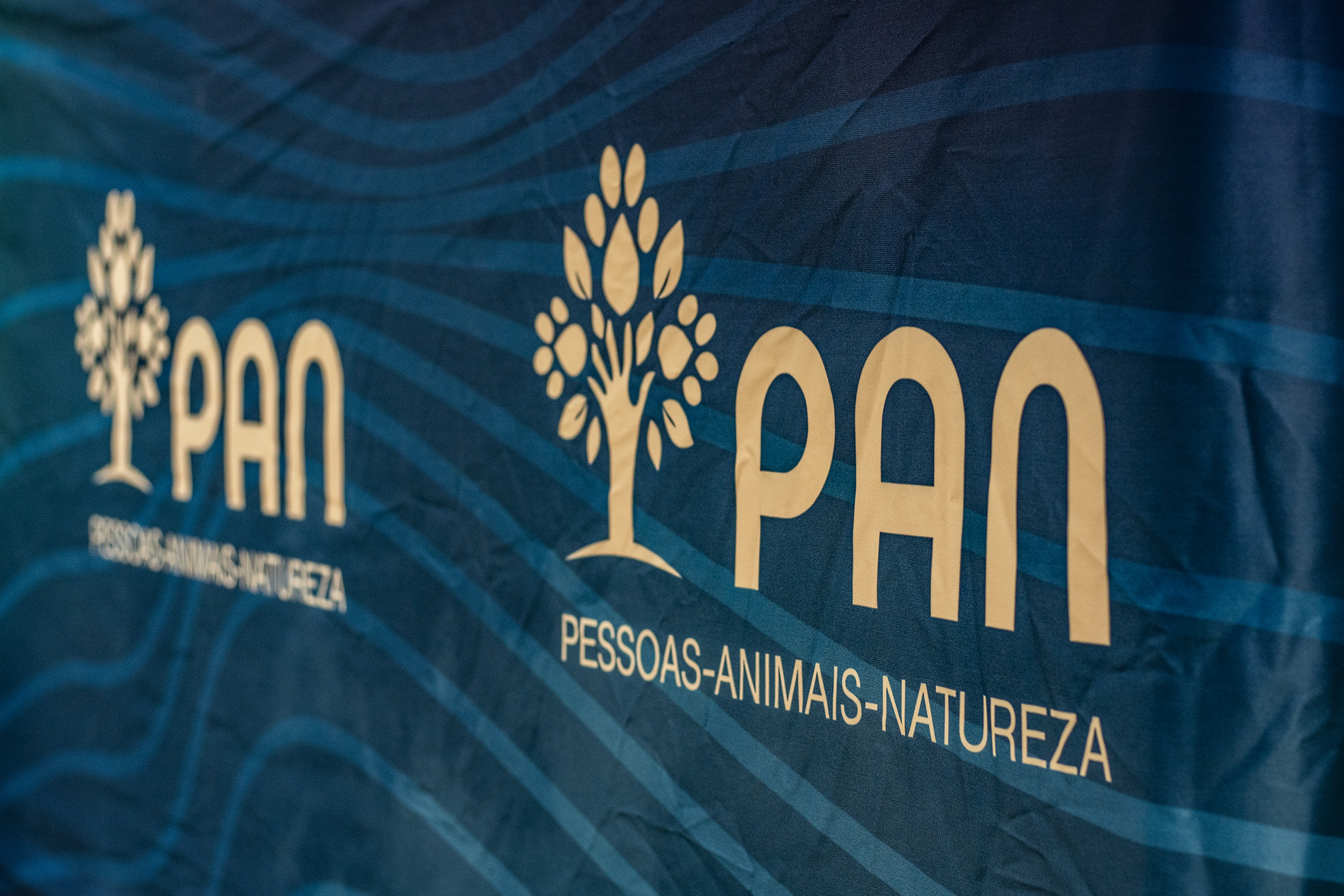 PAN foi o único partido a apresentar contas sem irregularidades nas autárquicas de 2017