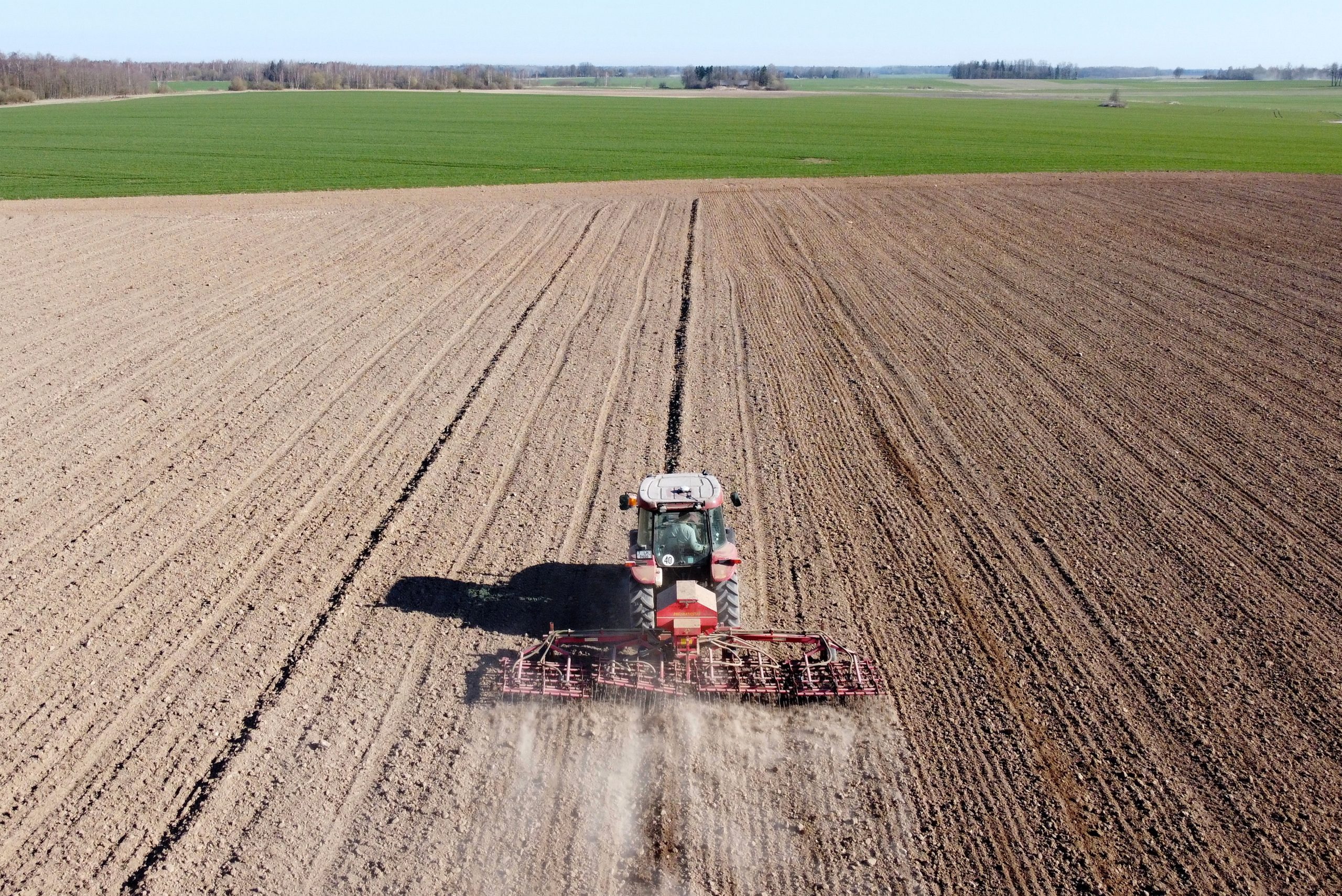 Humanidade vive como se tivesse mais de uma Terra. Medidas que contam neste Dia Mundial do Ambiente (e todos os dias)