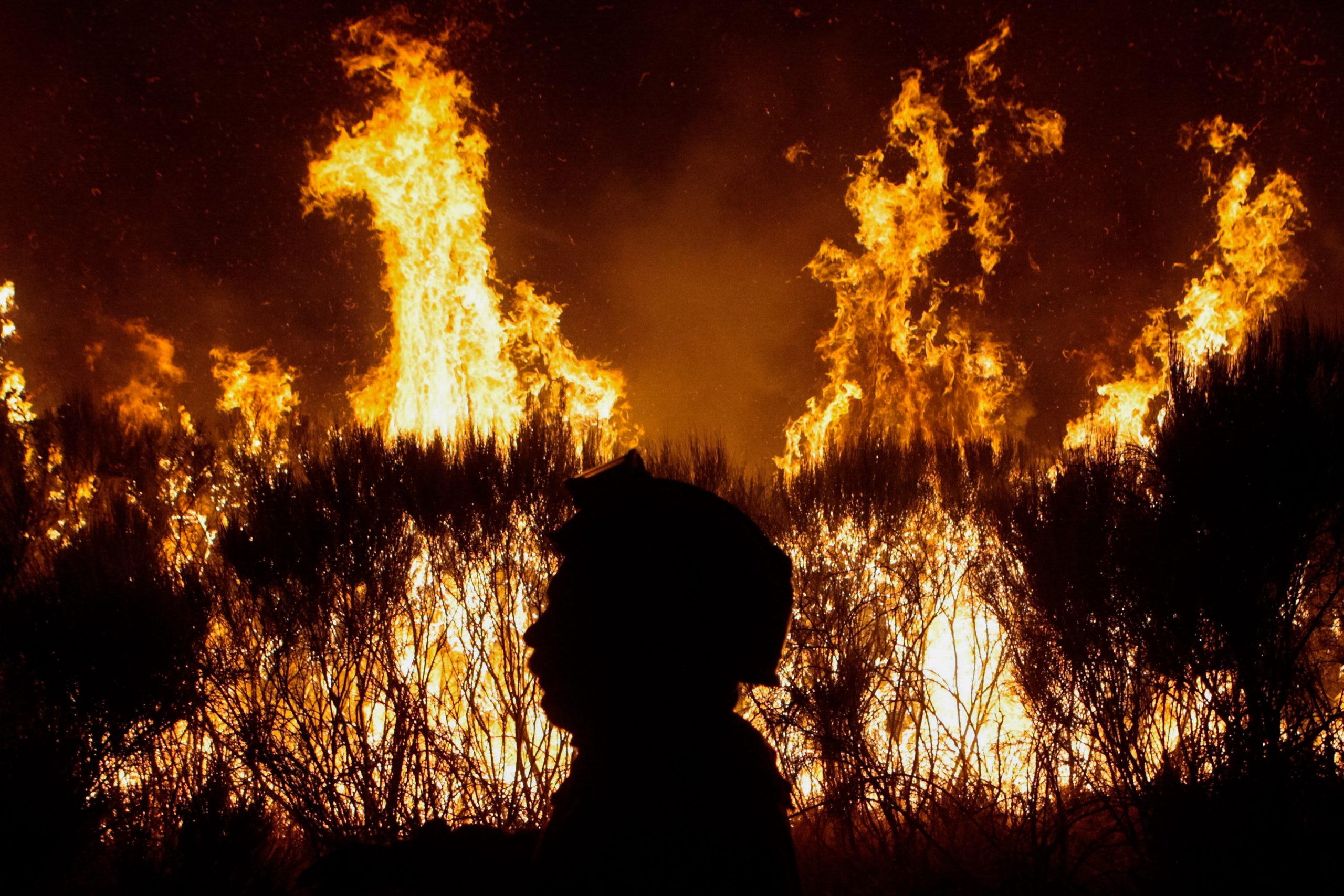 Relatório sobre fogos de outubro entregue hoje no parlamento