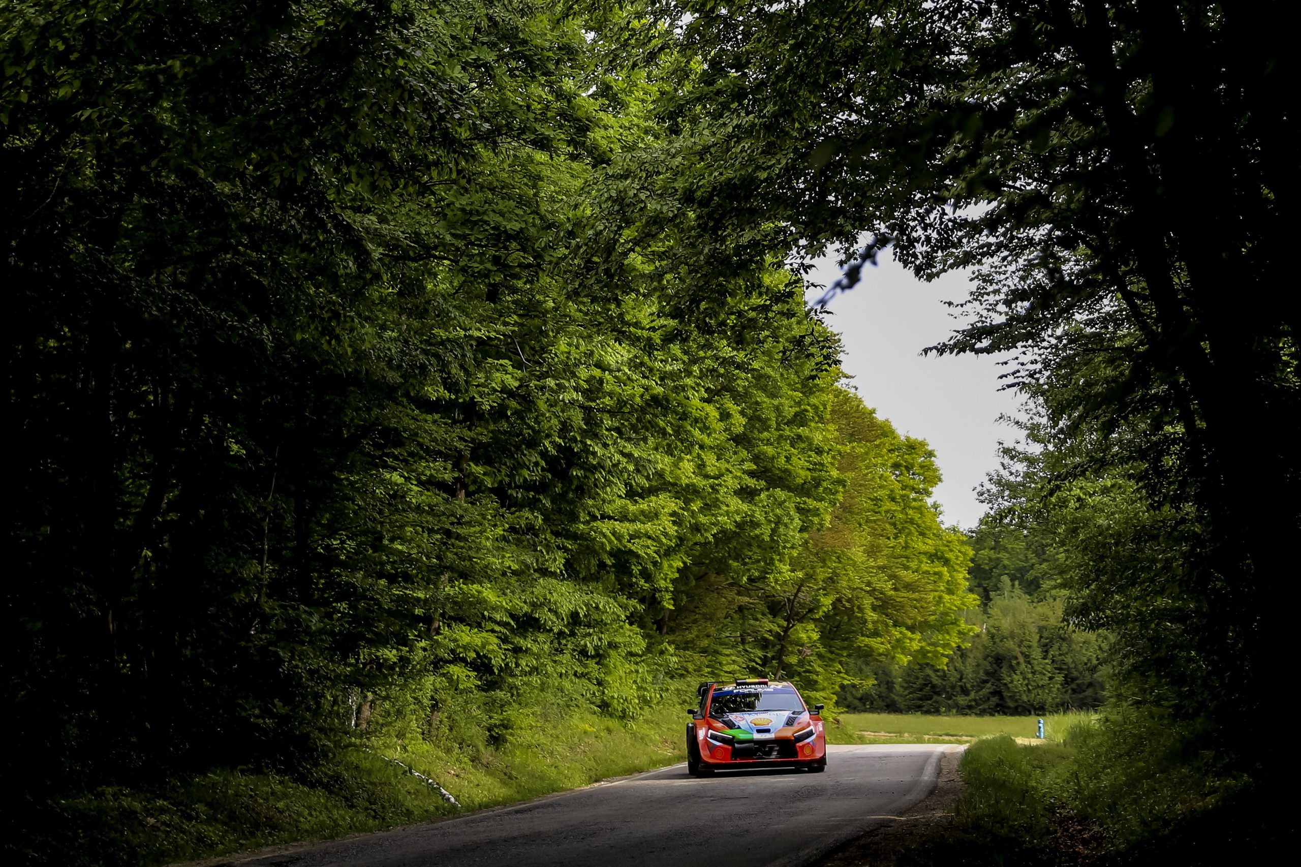 Thierry Neuville ganha ligeira vantagem no Rali da Croácia