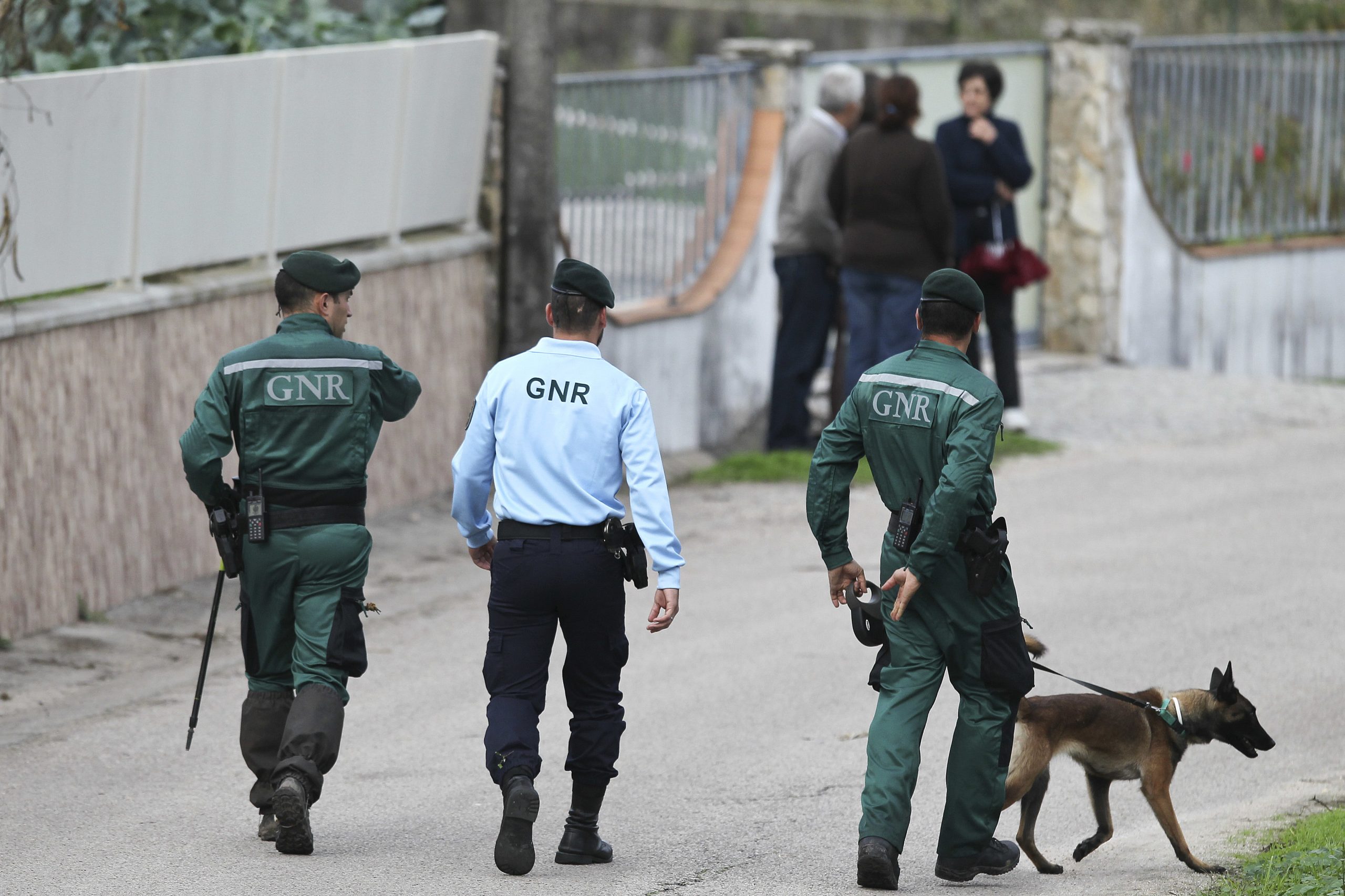 Idosa desaparecida em Santa Maria da Feira encontrada morta numa ravina