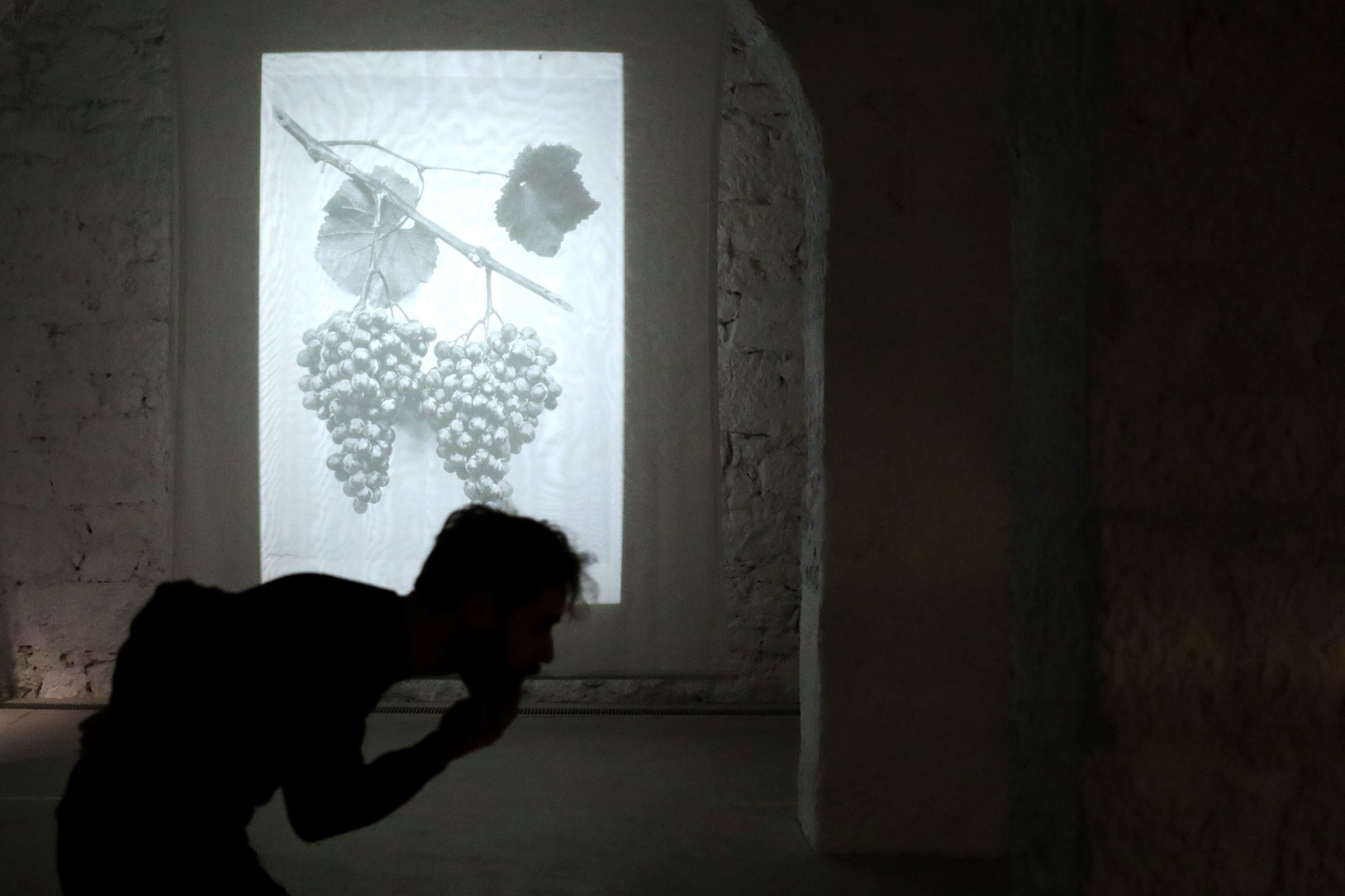 Exposição no Porto sobre o Douro evoca dimensão material e espiritual da região