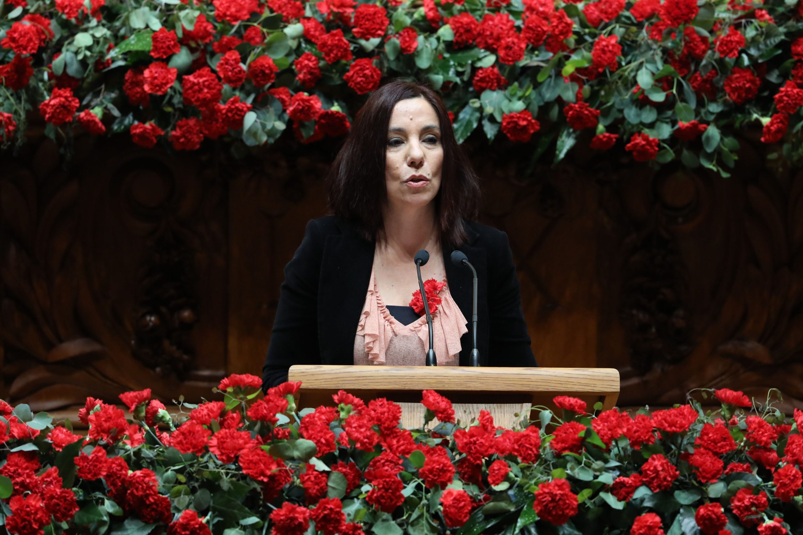 PEV lamenta recuos nas conquistas da revolução com anterior Governo PSD/CDS