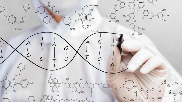 Cientistas apresentam projeto para criar genoma humano sintético