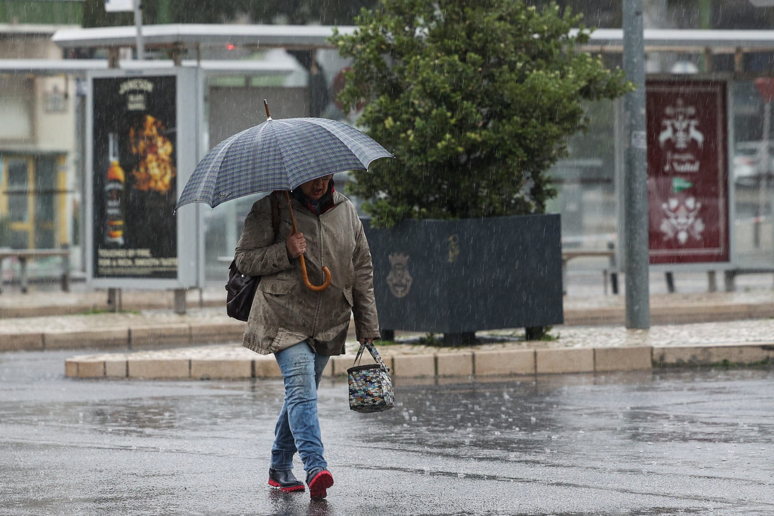 Chuva forte, vento intenso e queda de neve marcam a previsão para esta segunda-feira