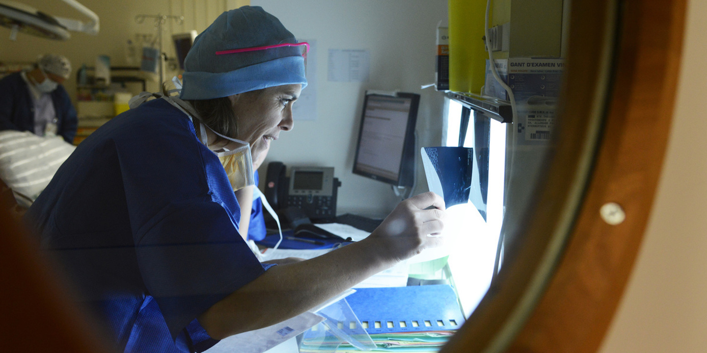 Mais de 400 mulheres por ano. Especialista alerta para mortalidade do cancro do ovário