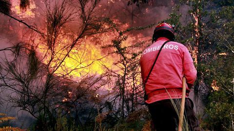 Incêndios: Várias habitações e instalações fabris queimadas em Oliveira do Hospital