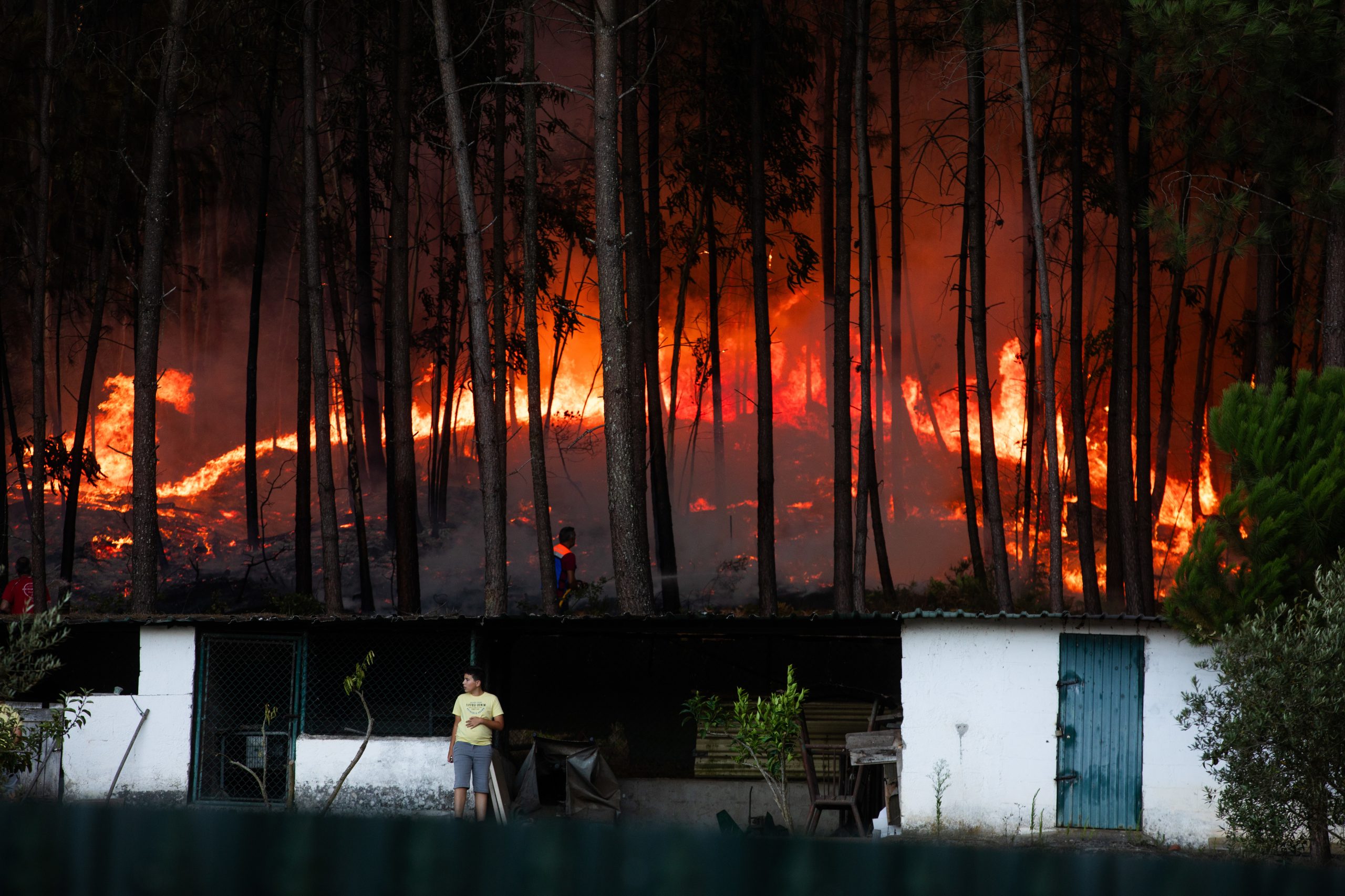 Incêndios: Dominado fogo em Ourém