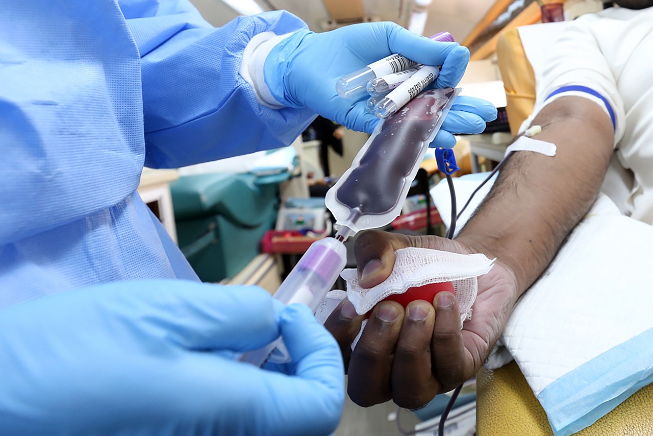 Dia Nacional do Dador de Sangue: necessárias mais dádivas (e profissionais de saúde para fazer as colheitas)