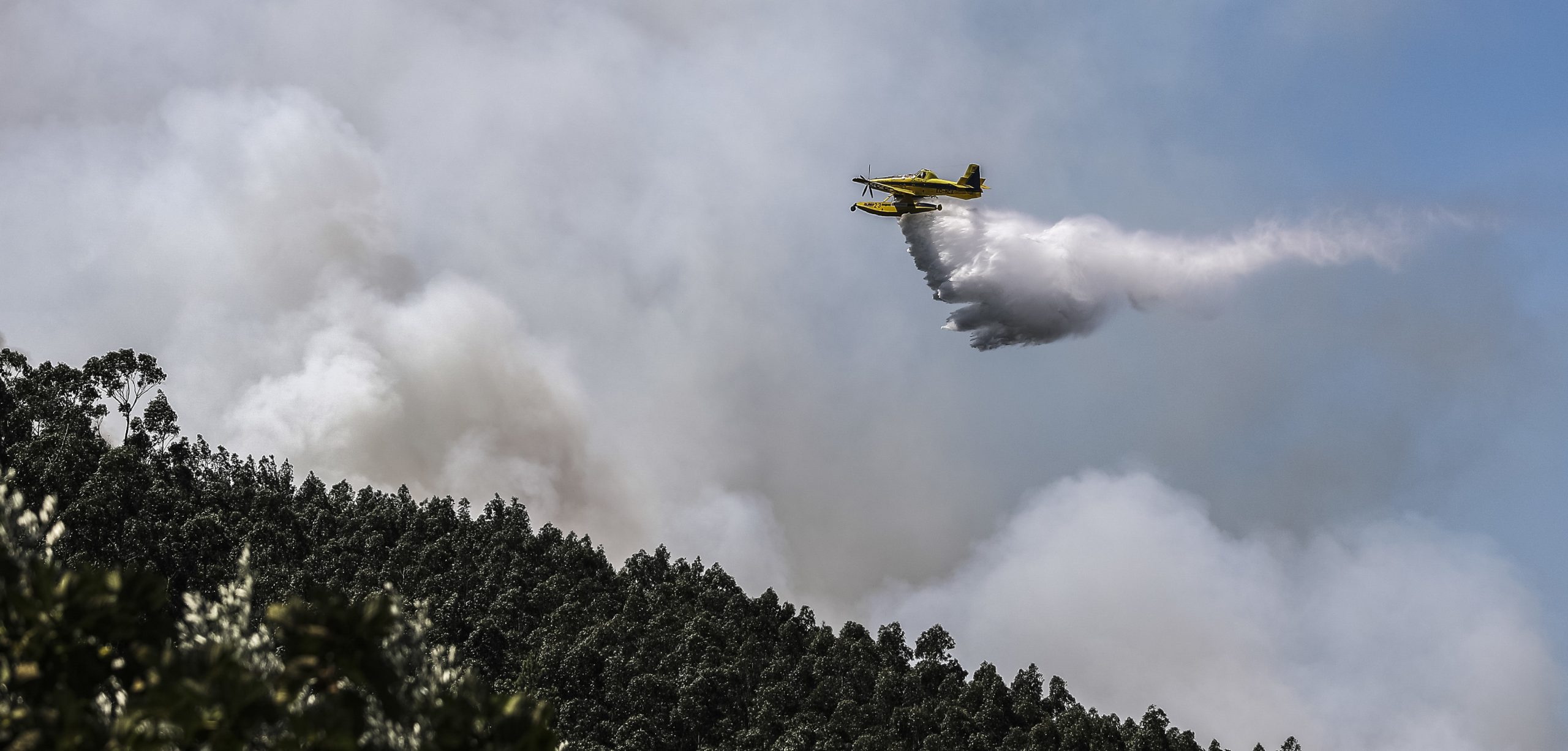 Incêndios: Dominado fogo em Ponte de Lima