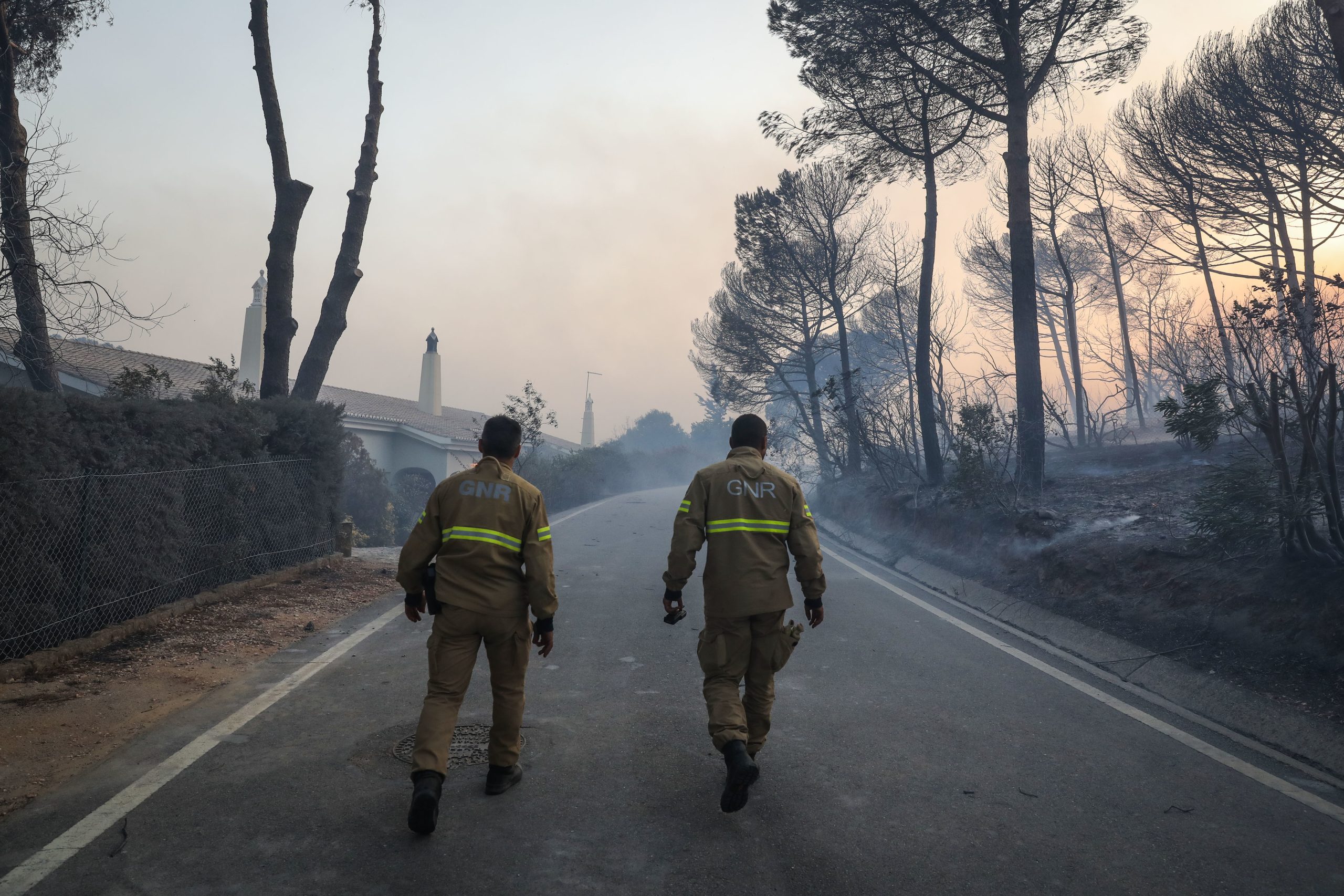 Incêndios: “Eu não saio. Pus logo os pés à parede. A gente tem de defender aquilo que é nosso”