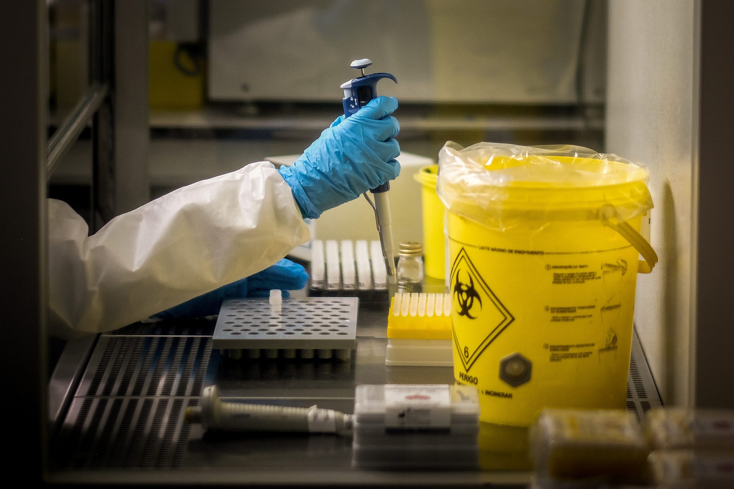 Portugal com 710 casos confirmados de infeção pelo vírus Monkeypox