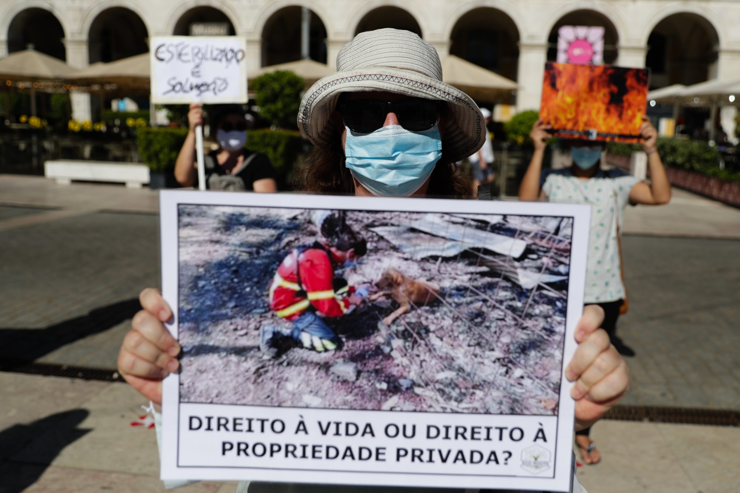 “Dar voz a quem não fala como nós”. Cerca de cem pessoas manifestam-se em Lisboa pelos animais de Santo Tirso