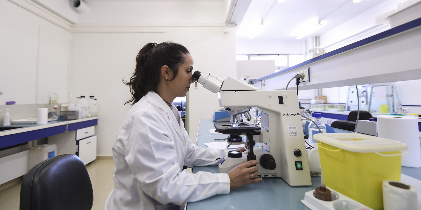 Universidades querem contratar 1.200 investigadores com recurso ao Orçamento do Estado