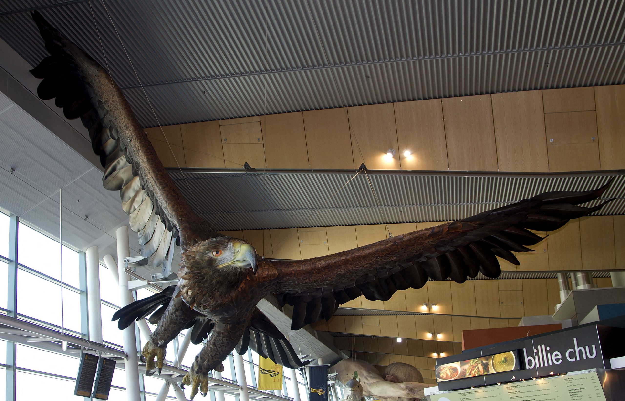 Águia de Hobbit vai ser removida de um aeroporto na Nova Zelândia