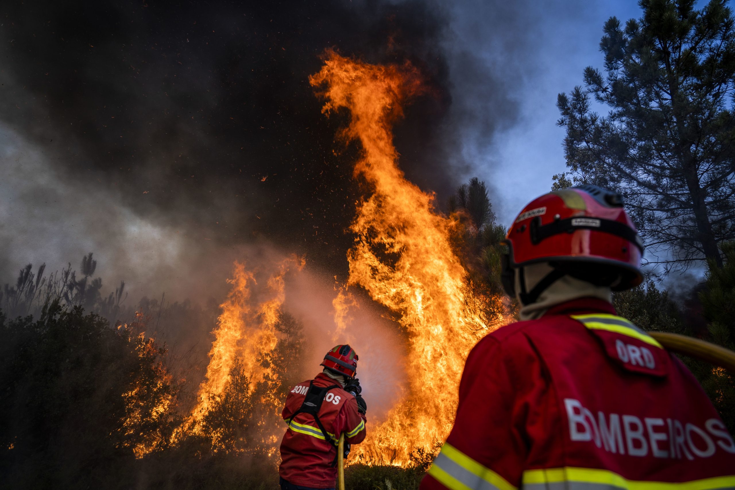 Jovem de 21 anos suspeito de atear 28 fogos florestais detido pela PJ