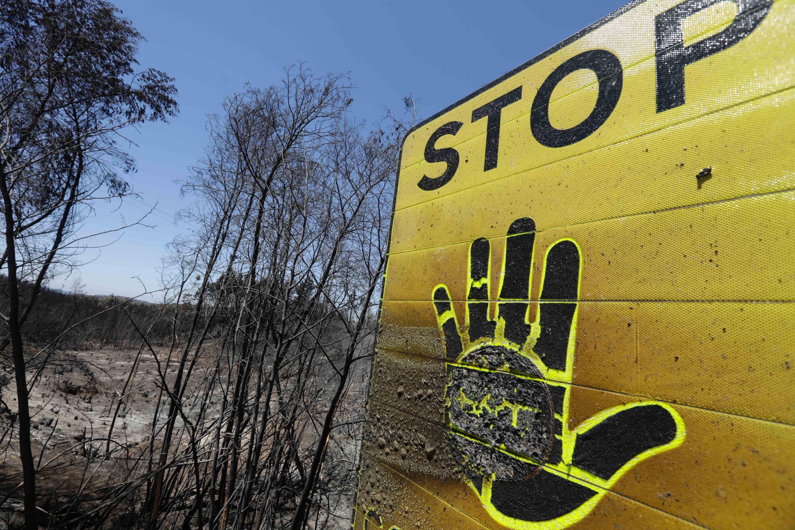 Fase ‘Charlie’: Época mais crítica de combate aos incêndios começa hoje