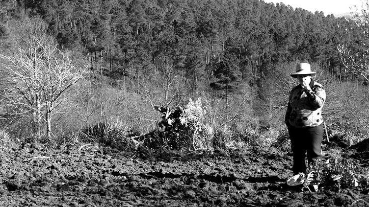 Documentário alerta para agonia das aldeias transmontanas