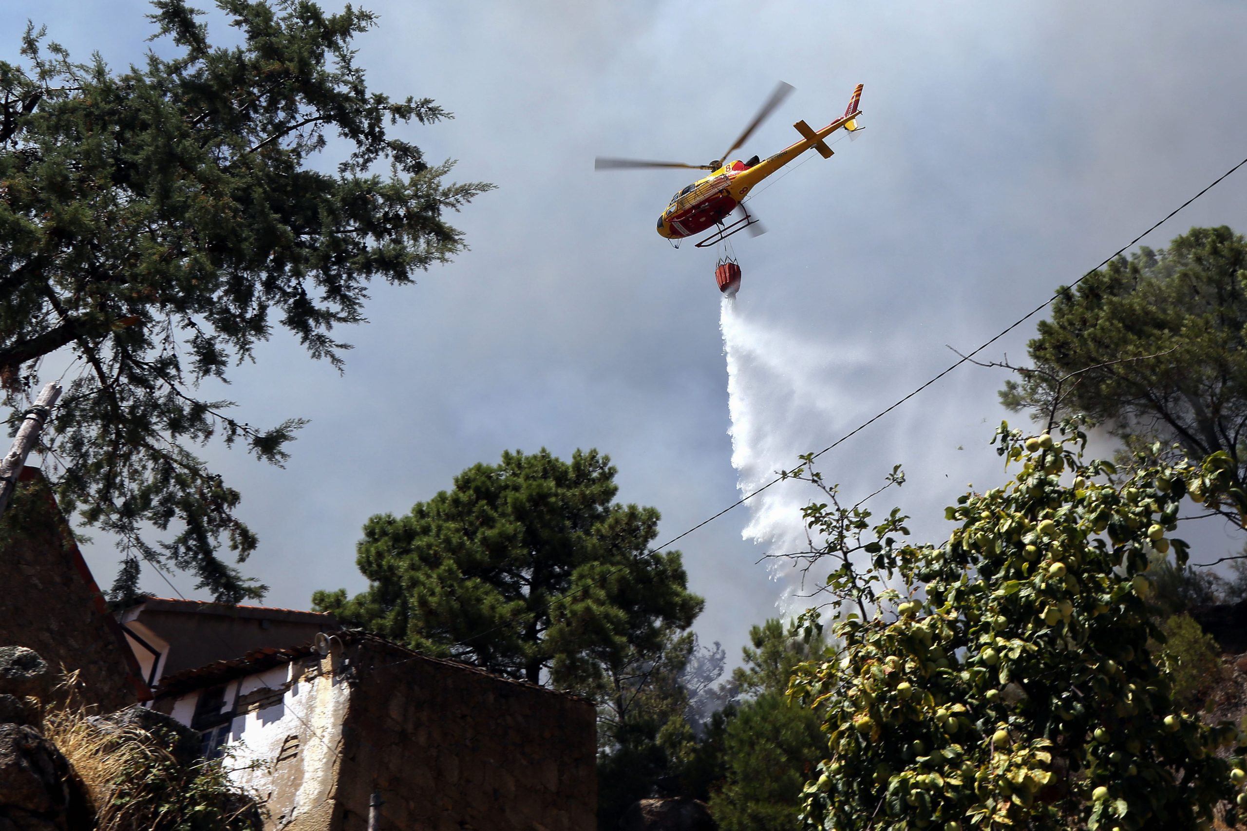 Incêndios: Fogo de S. Pedro do Sul continua ativo, não há povoações em risco