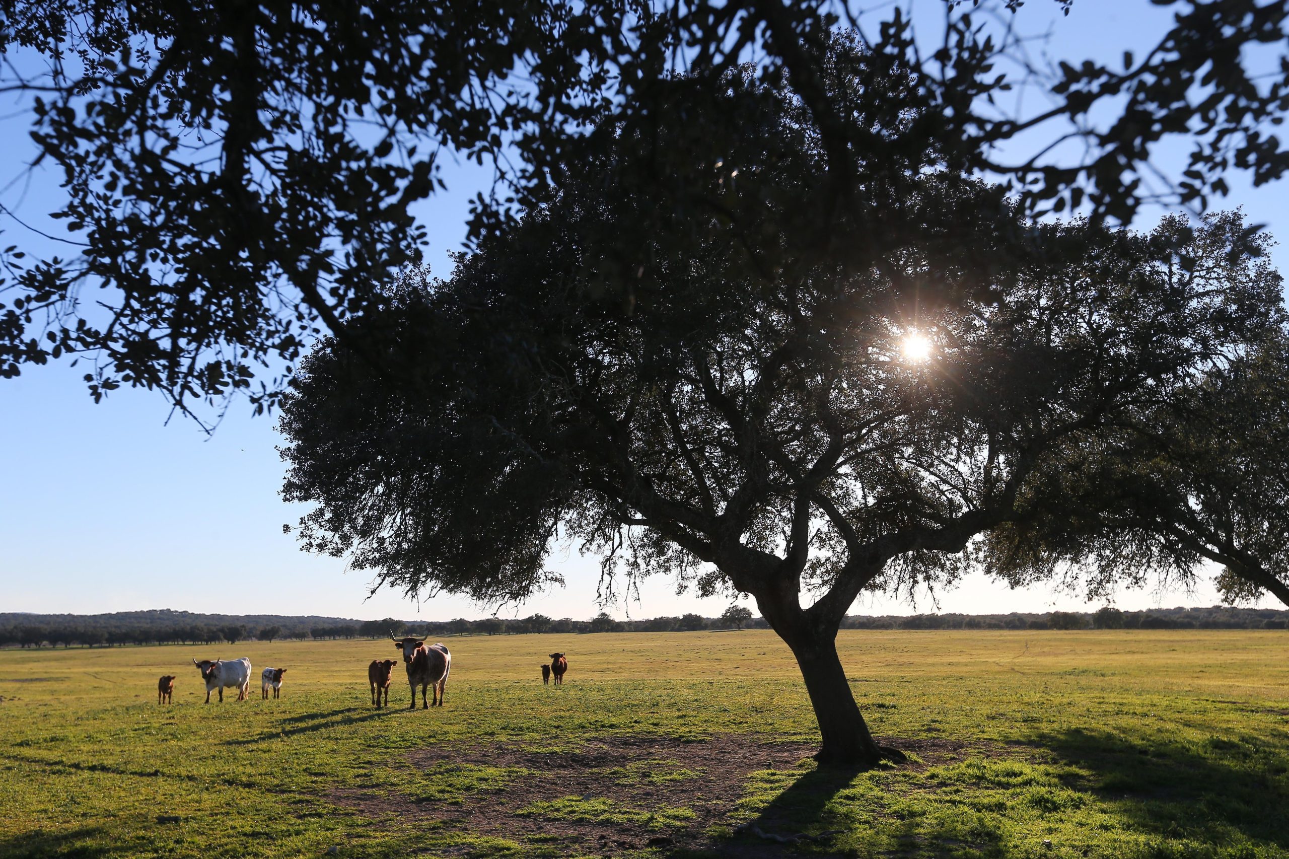 Alentejo está “ainda mais apetecível” para férias, mas é “preciso manter a guarda” , afirma o secretário de Estado Adjunto e da Defesa Nacional