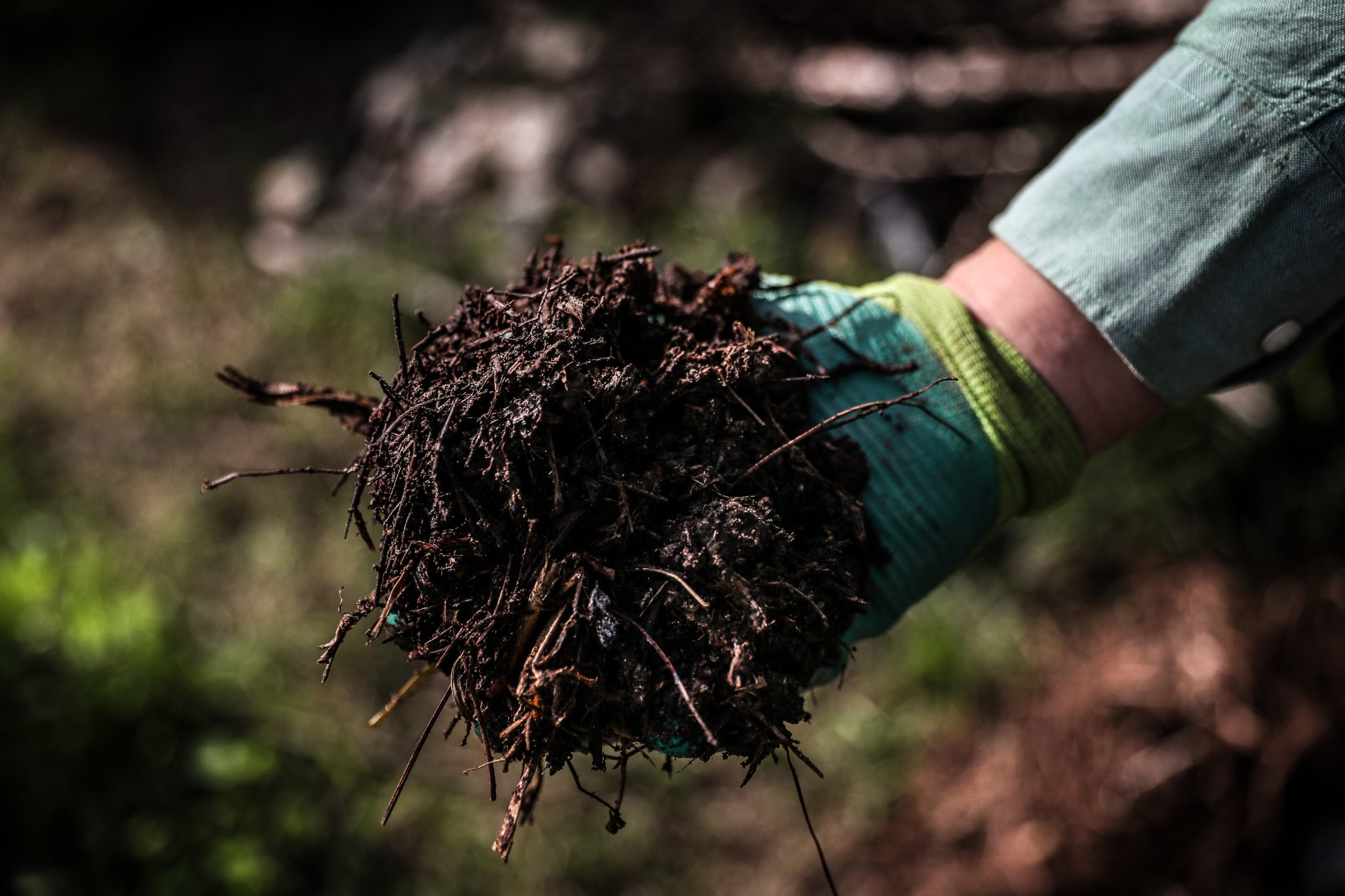 Câmara de Águeda vai distribuir contentores para compostagem doméstica