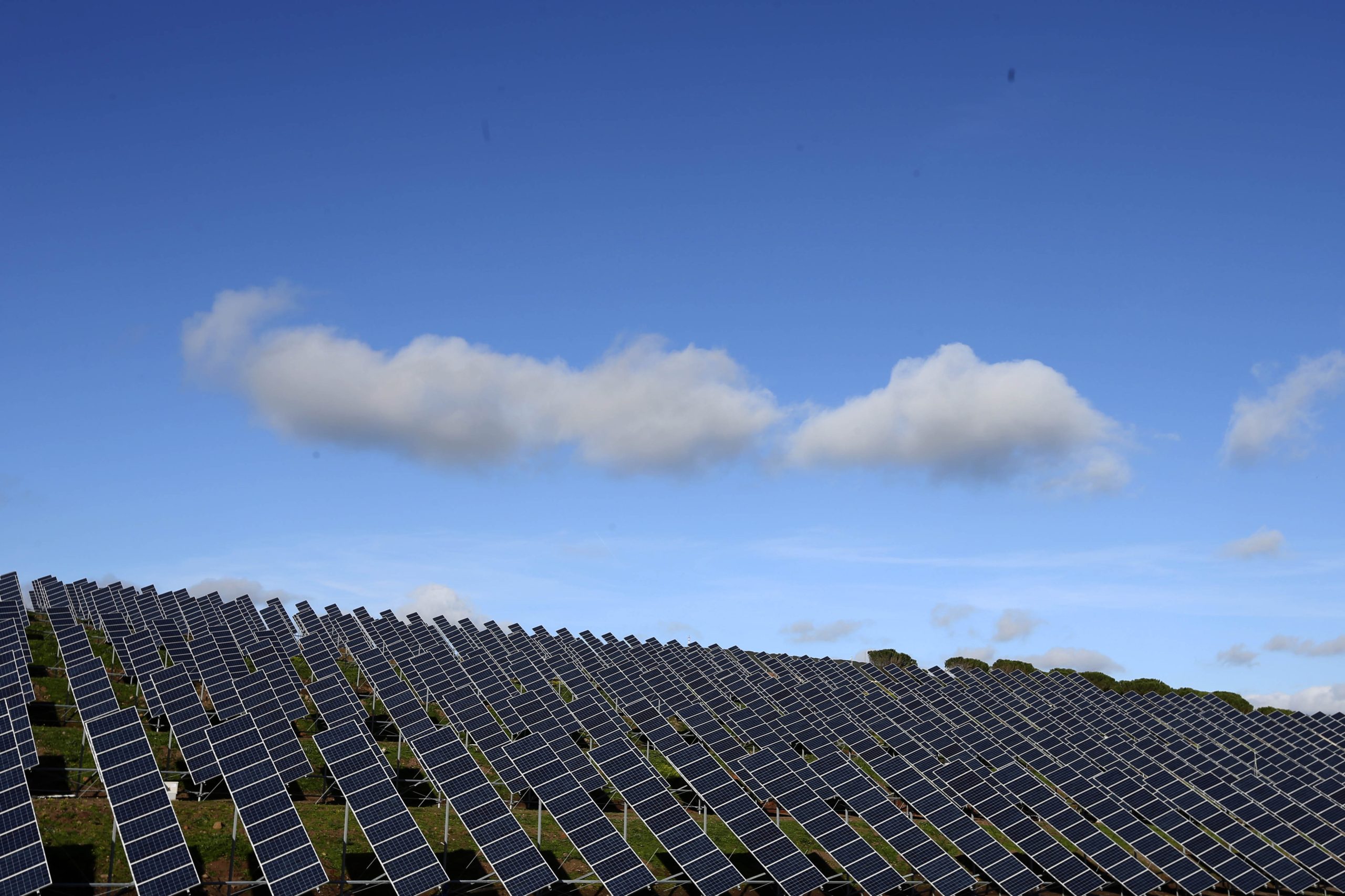 Ambientalistas alertam para riscos ambientais de centrais solares fotovoltaicas no Alentejo