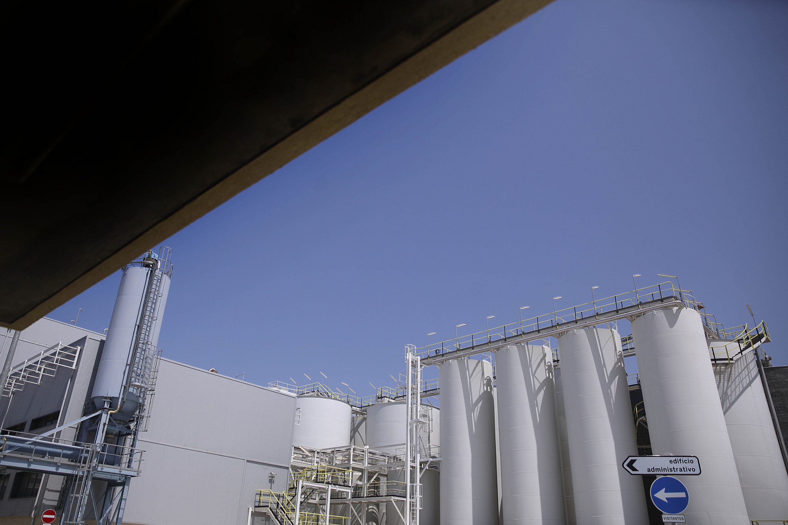 Zero quer que Portugal confirme fim do óleo de palma no biodiesel como determinou União Europeia
